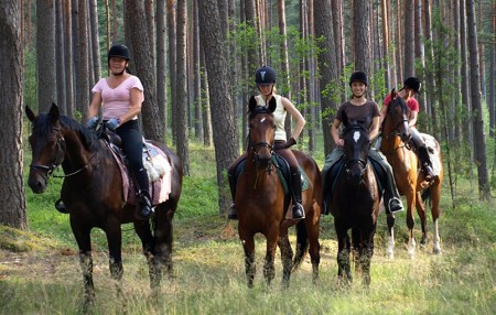http://www.baltic-airport-transfers.com/siteimg/excursions/horses.jpg